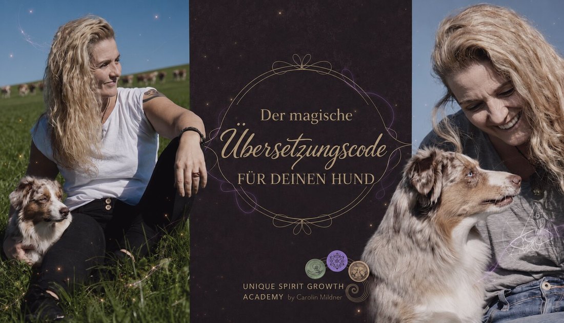 Kurscover: Der magische Übersetzungscode für deinen Hund