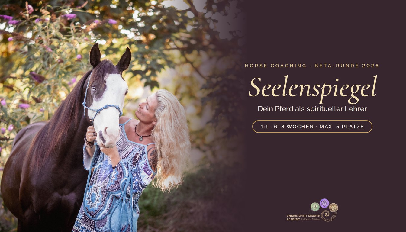 Seelenspiegel